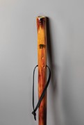 Bear Silhouette Take A Hike Walking Stick w/Compass & Pouch IWTHBS View 3